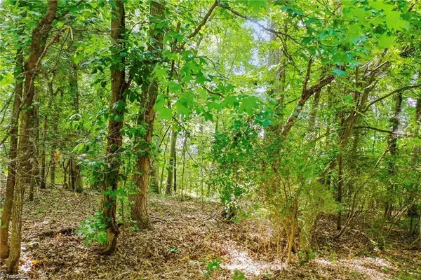 4446 Marion Drive, Terrell, NC 28682