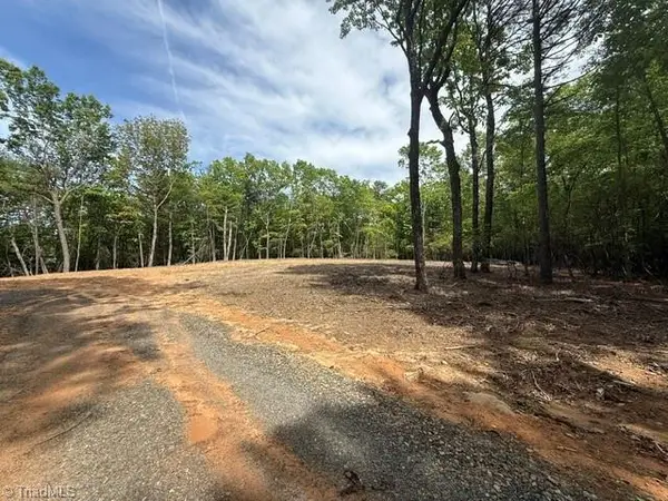 00 Chestnut Mountain Farms Parkway, McGrady, NC 28649