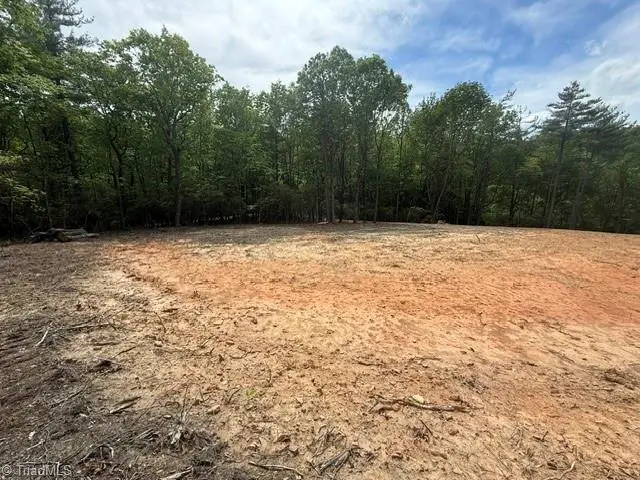 00 Chestnut Mountain Farms Parkway, McGrady, NC 28649 - #2