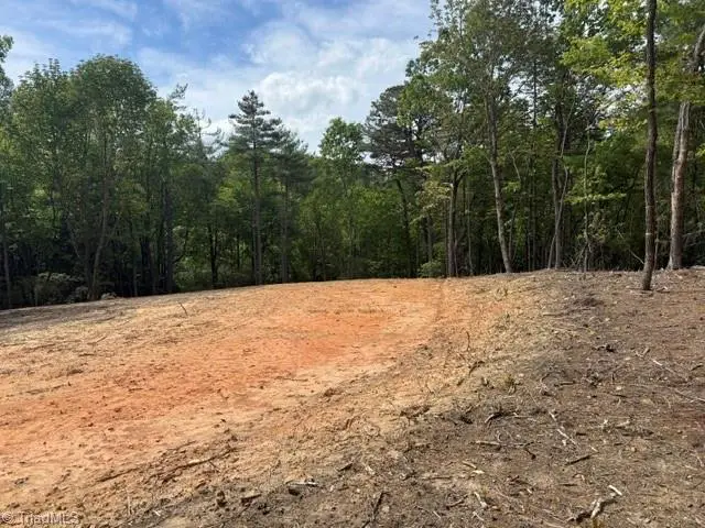 00 Chestnut Mountain Farms Parkway, McGrady, NC 28649 - #3