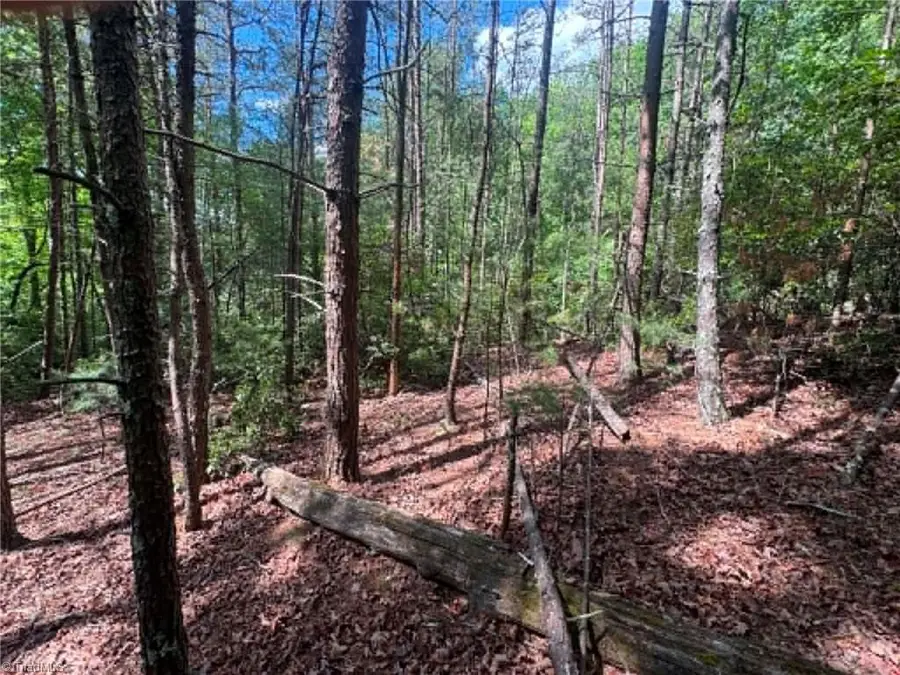 Lot 19 Fawn Lane, Walnut Grove, NC 28635 - #2