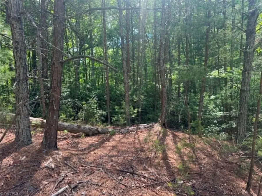 Lot 19 Fawn Lane, Walnut Grove, NC 28635 - #3