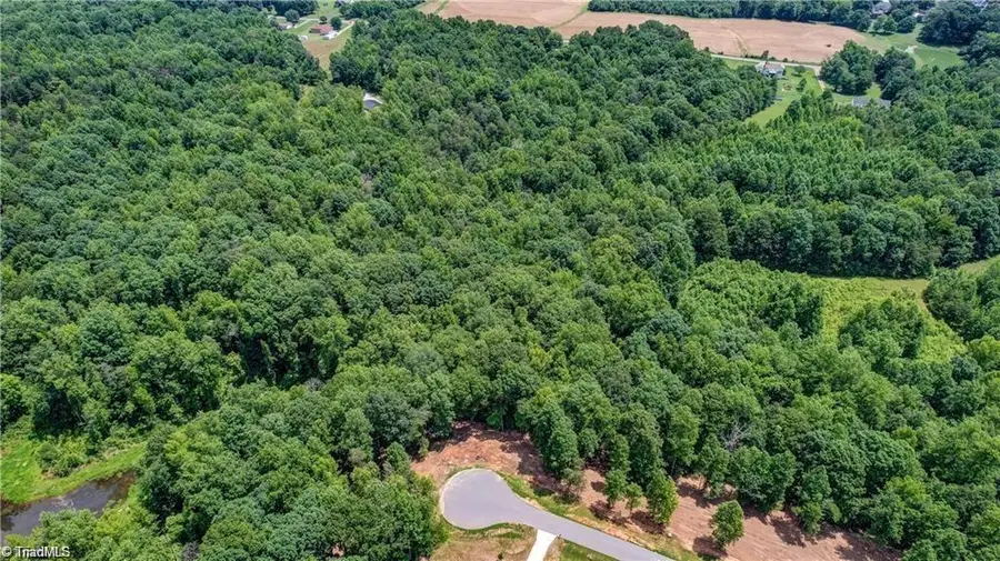 8430 Exmoor Trace, Browns Summit, NC 27214 - #3
