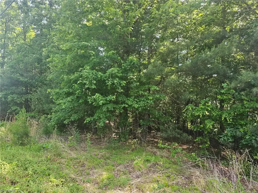 Lot 1 Ashland Lane, Wilkesboro, NC 28697 - #3