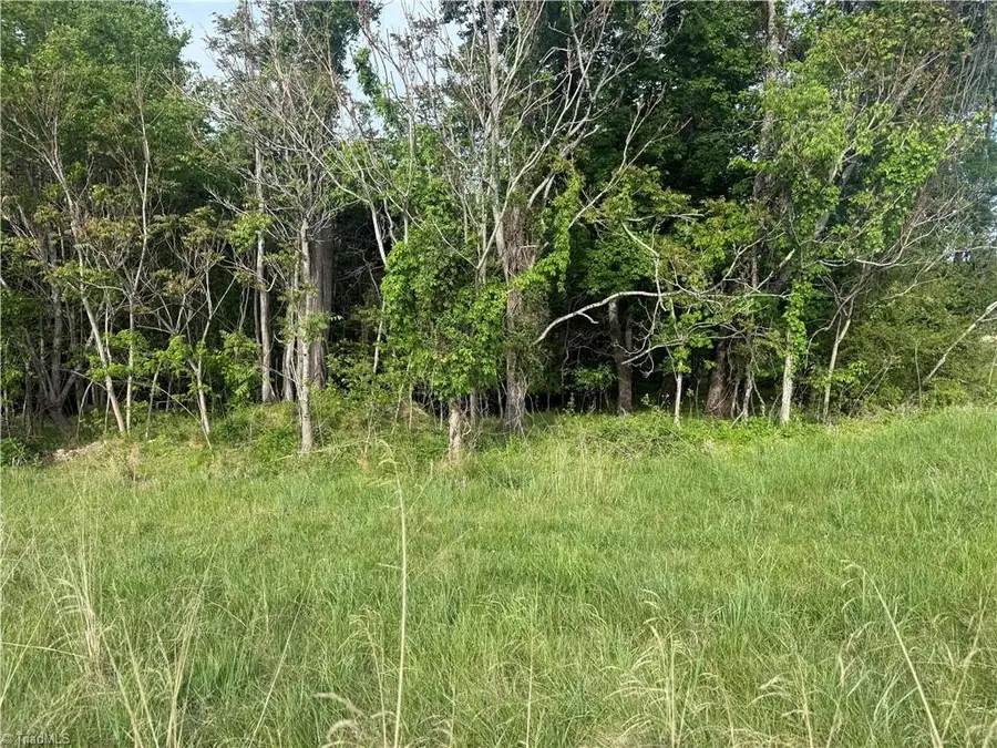 00 Amostown Road, Sandy Ridge, NC 27046 - #3