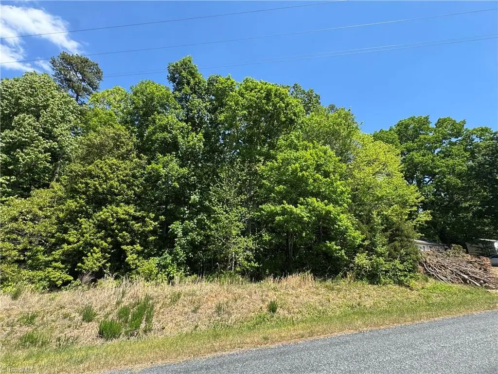 270 Della Wilson Road, Lexington, NC 27295 - #1