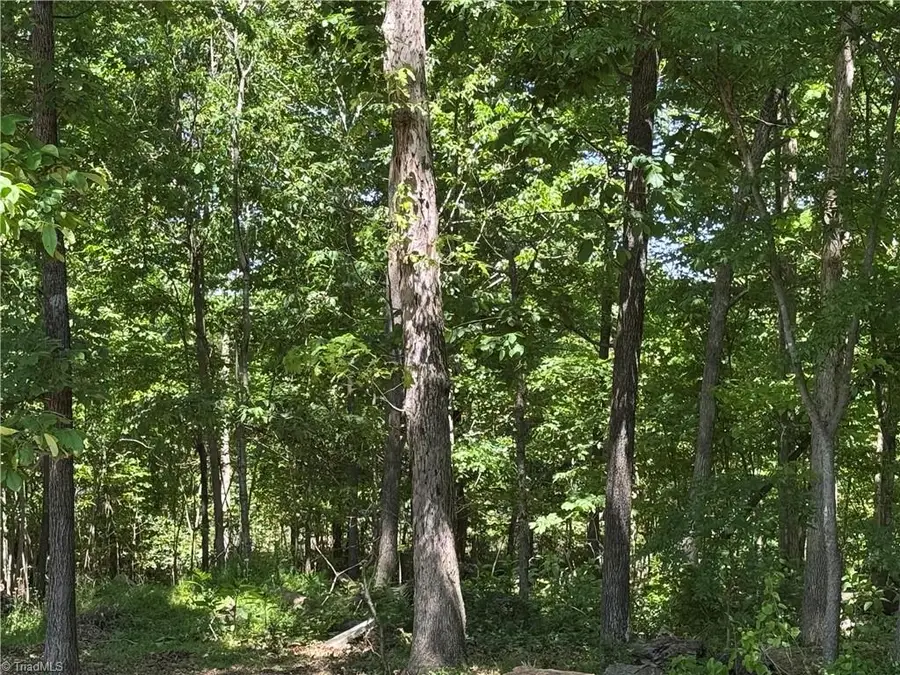 270 Della Wilson Road, Lexington, NC 27295 - #3