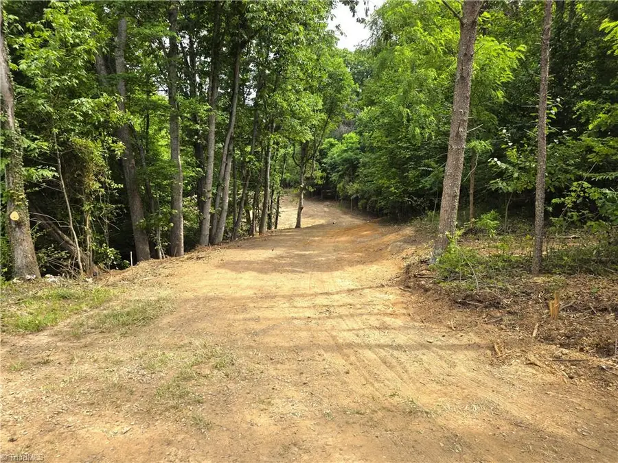 XX Karen Lane, Pinnacle, NC 27043 - #2