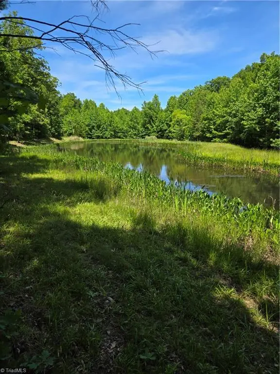 335 Healing Springs Drive, Denton, NC 27239 - #1