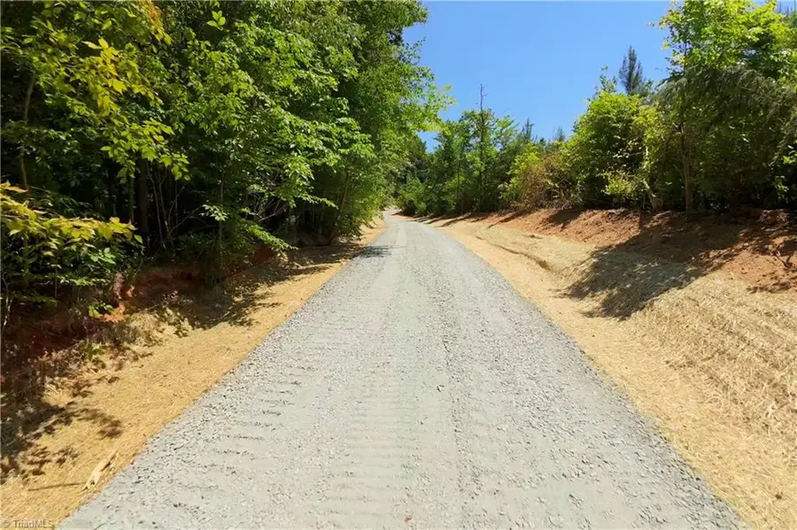 15 Roby Fulk Road, Pinnacle, NC 27043 - #3