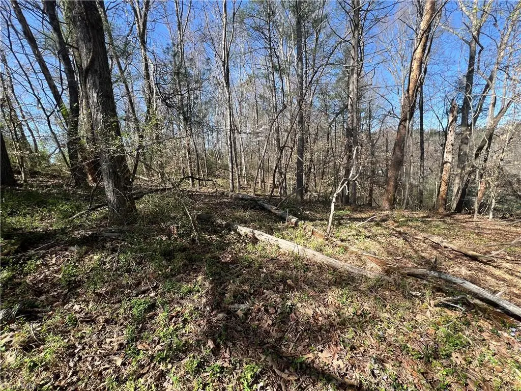 0 Shepherds Farm Road, North Wilkesboro, NC 28659 - #1