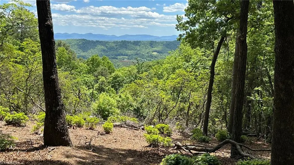 T23 Widow Mountain Drive, Hays, NC 28635 - #1