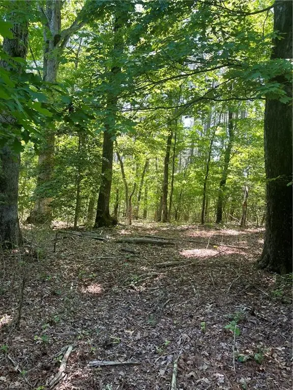 0 Palmer Road, Westfield, NC 27053 - #1