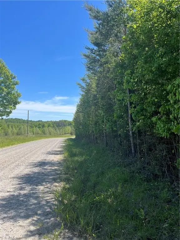 0 Palmer Road, Westfield, NC 27053 - #2