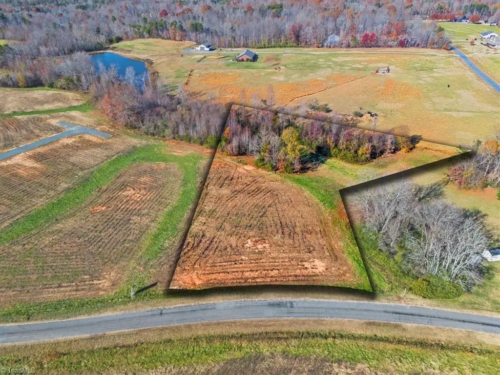 131 Pearson Farm Road, Summerfield, NC 27358 - #1
