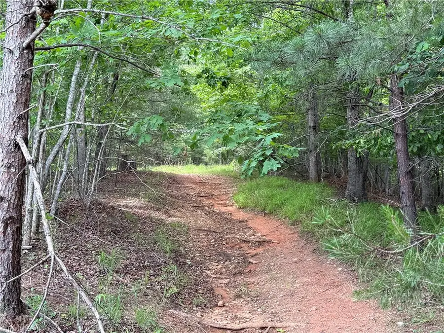 0 Old Lowgap Road, Lowgap, NC 27024 - #2