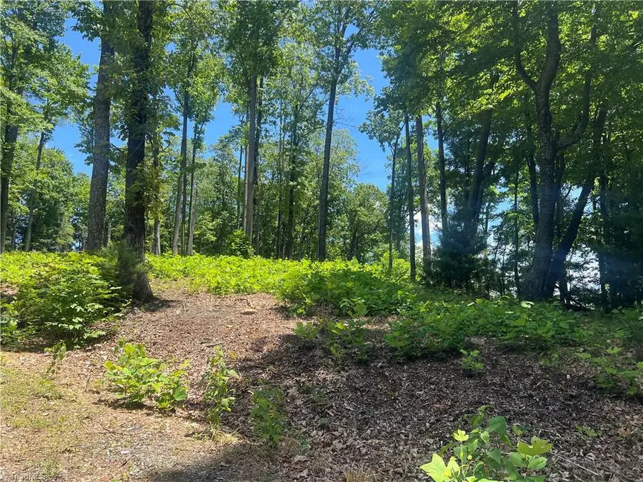 TBD Wilderness Road, Hays, NC 28635 - #3