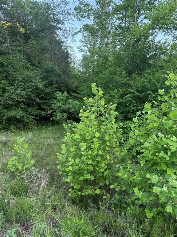0 Puckett Road, Westfield, NC 27053 - #3