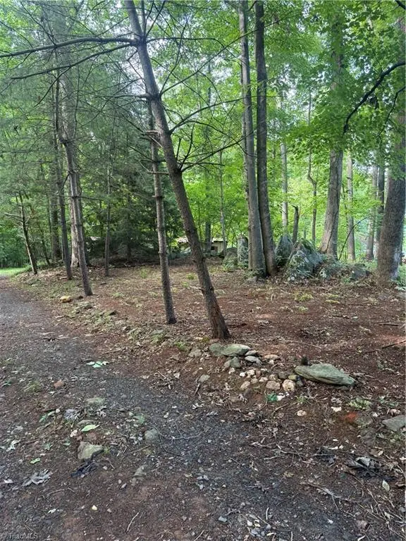 610 E Brown Street, Randleman, NC 27317 - #2