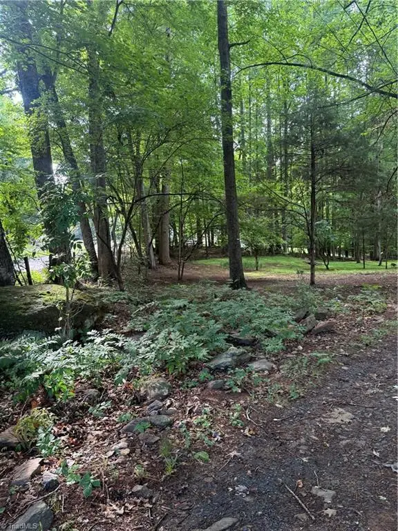 610 E Brown Street, Randleman, NC 27317 - #3