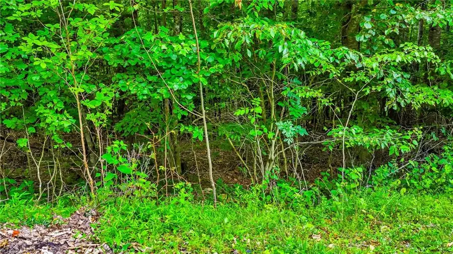 TBD 6 Christmas Mtn Lane, Fleetwood, NC 28626 - #2