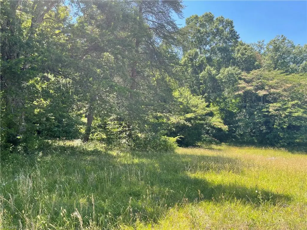 1306 White Street, Lexington, NC 27292 - #1