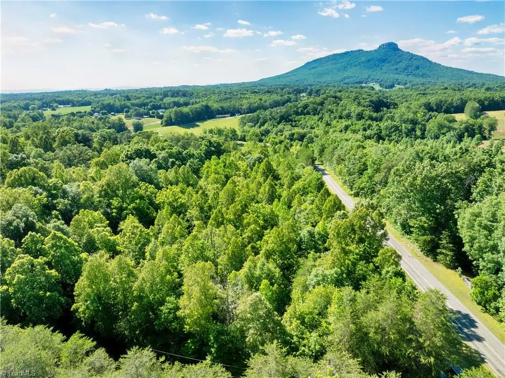 TBD Flint Hill Lane, Pinnacle, NC 27043 - #1
