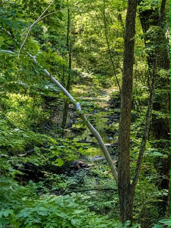 TBD Flint Hill Lane, Pinnacle, NC 27043 - #2