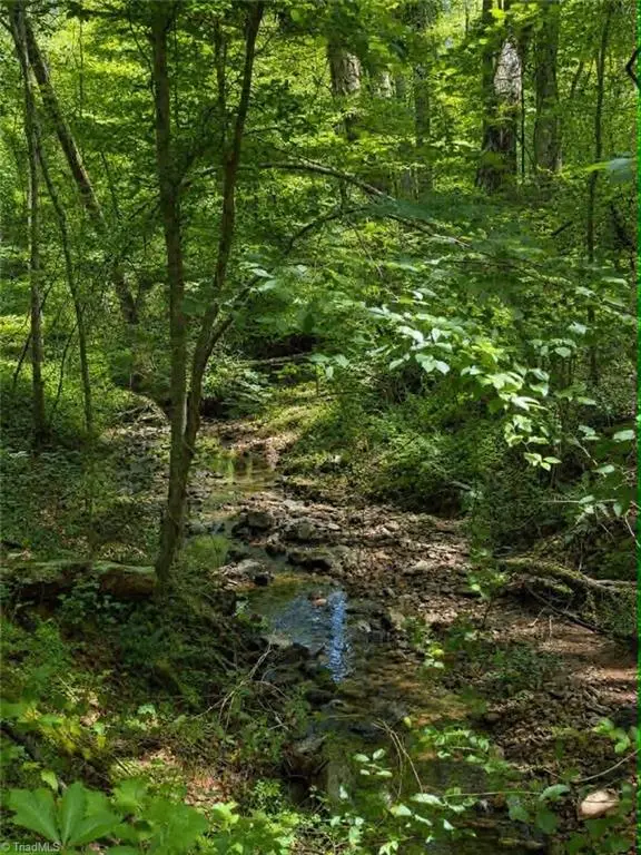 TBD Flint Hill Lane, Pinnacle, NC 27043 - #3