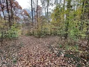 0 Aladdin Road, Pfafftown, NC 27040 - #2
