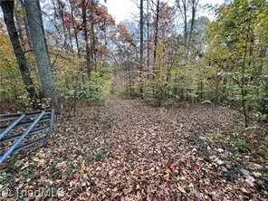 0 Aladdin Road, Pfafftown, NC 27040 - #3