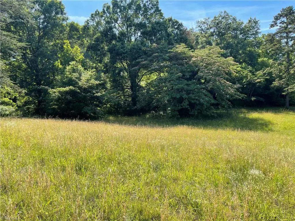 1308 White Street, Lexington, NC 27295 - #1