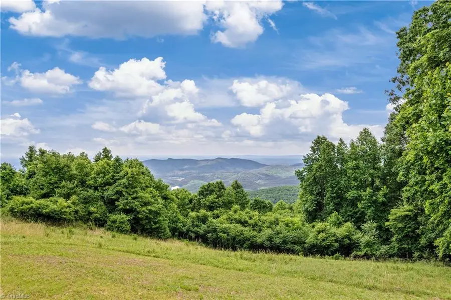 576 Lake Vista Drive, Glade Valley, NC 28627 - #2