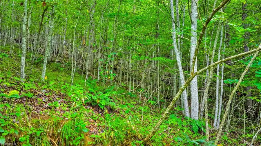 TBD Deep Ford Road, Walnut Hill, NC 28642 - #2