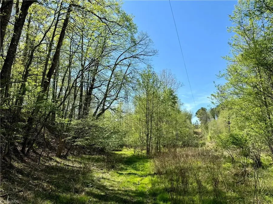 3313 Nc Highway 66 S, Westfield, NC 27053 - #2