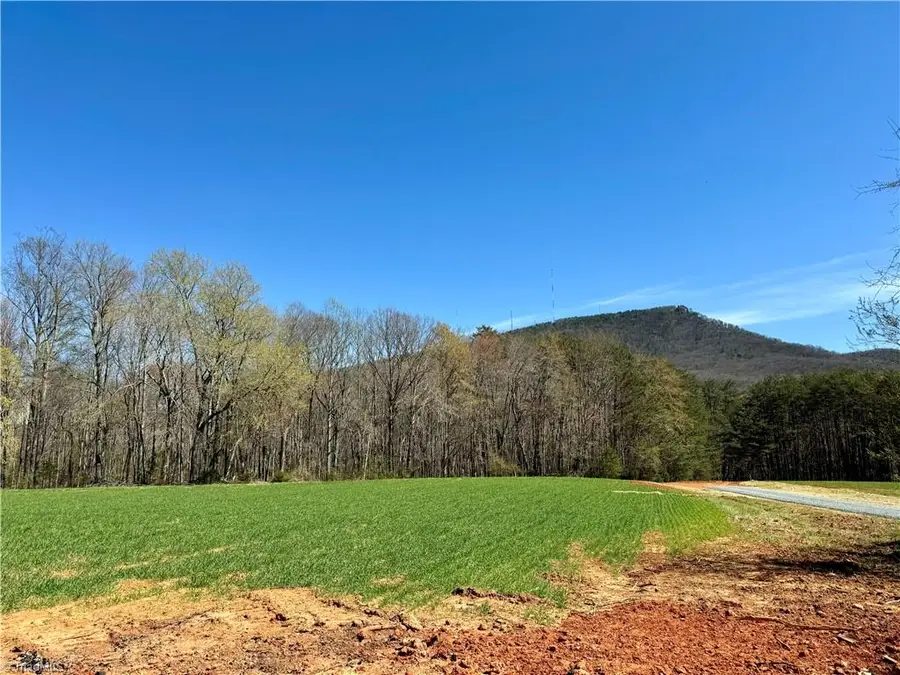 6 Old Mill Road, Pinnacle, NC 27043 - #3