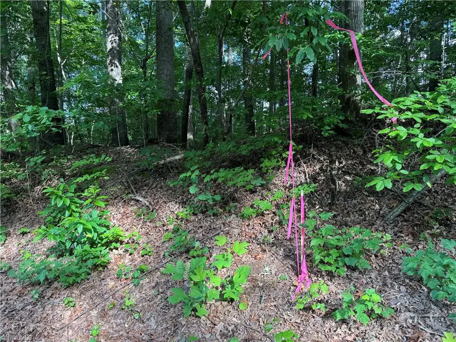 00 Dover Church Road, Seagrove, NC 27341 - #2