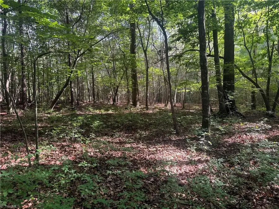 00 Dover Church Road, Seagrove, NC 27341 - #3