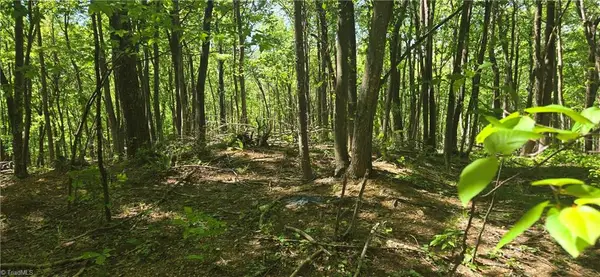 00 Goose Creek Lane, Ararat, VA 24053