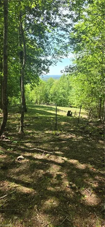 00 Goose Creek Lane, Ararat, VA 24053 - #2