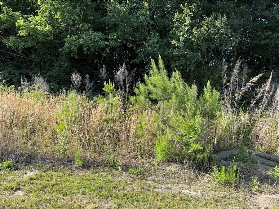 191 Painted Trail, Lexington, NC 27295 - #2