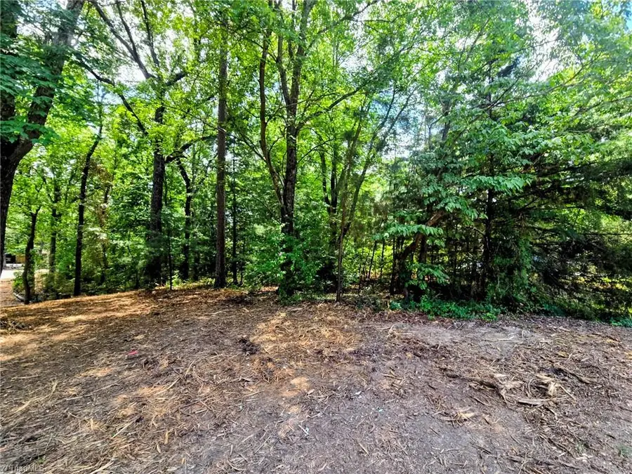0 Idlewild Drive, Randleman, NC 27317 - #2