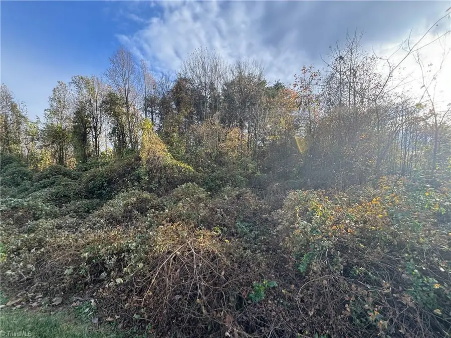 00 NE Market Street #Tract B, Reidsville, NC 27320 - #3
