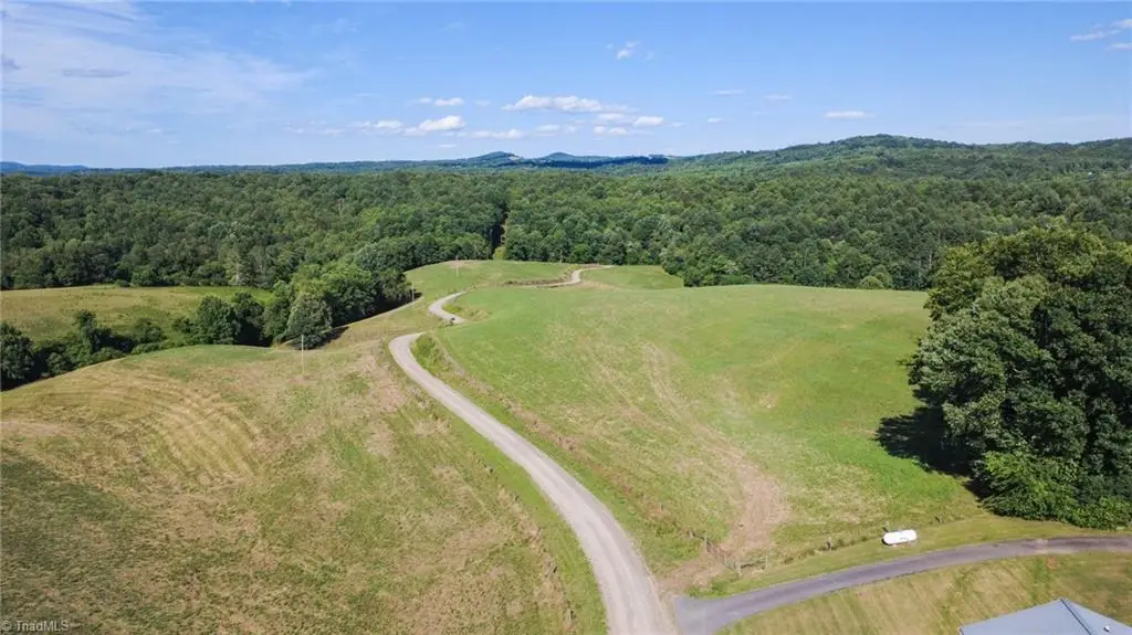 1779 Round Hill Church Road, Traphill, NC 28685 - #1