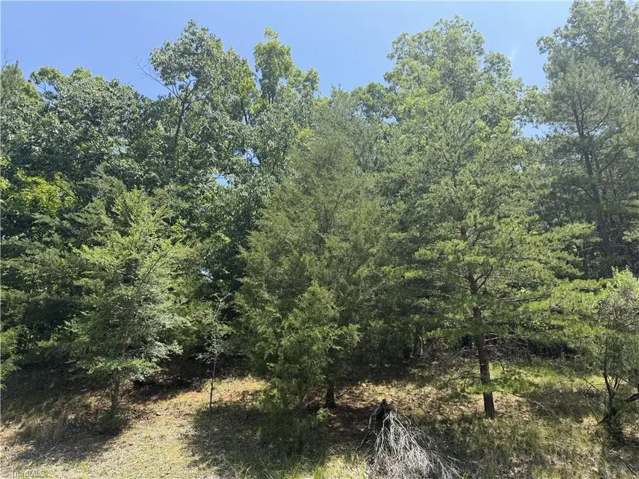 821 Rocky Cove Lane, Denton, NC 27239 - #3