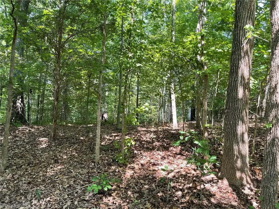 196 Larkspur Lane, Lexington, NC 27292 - #3