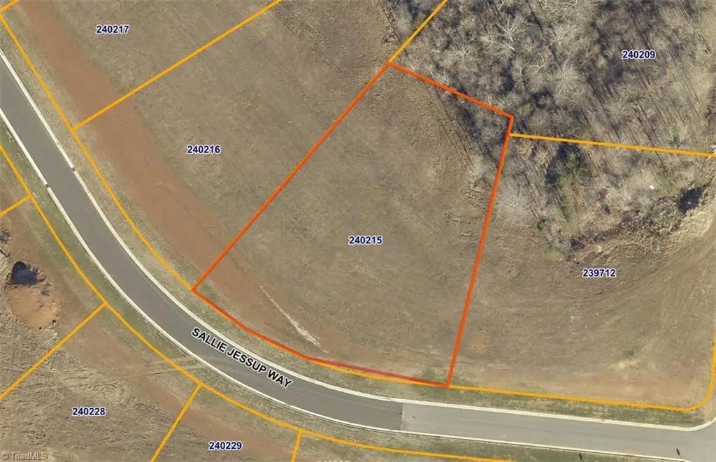 1002 Sallie Jessup Way, Greensboro, NC 27455 - #1