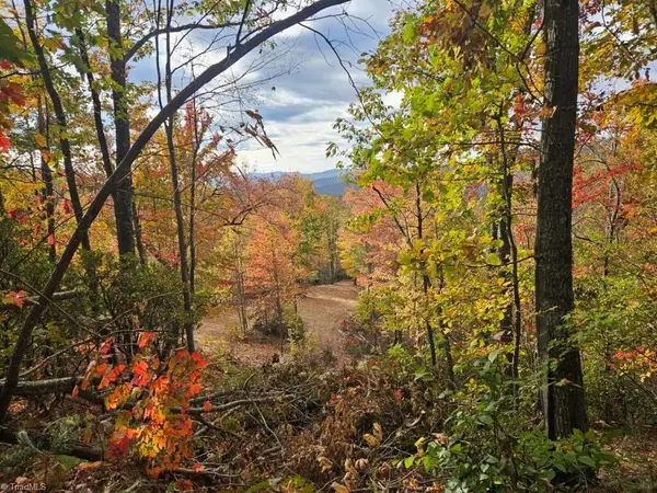 0 Shell Creek Road, Ferguson, NC 28624