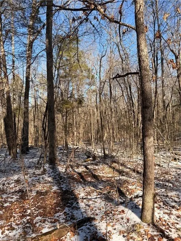 00 Stokes Ferry Road, Gold Hill, NC 28071 - #2