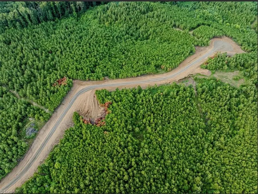 585 Briar Ridge Lane Extension, Yanceyville, NC 27379 - #2